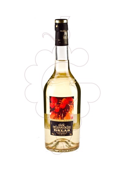 Photo Aperitif wine Gélas Floc de Gascogne Blanc