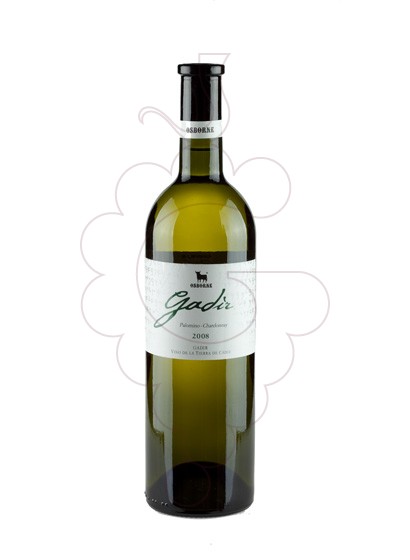 Photo Gadir Blanc white wine
