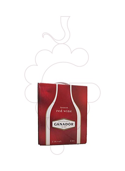 Photo Ganador Bag in Box red wine