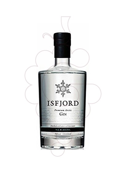 Photo Gin Isfjord