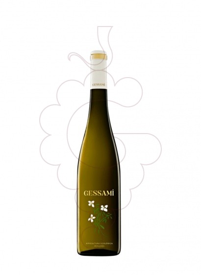 Photo Gramona Gessami (mini) white wine