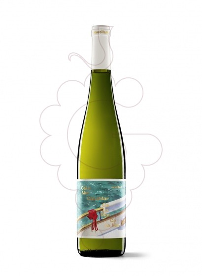 Photo Gramona Mustillant Brut Vi d'Agulla Blanc sparkling wine