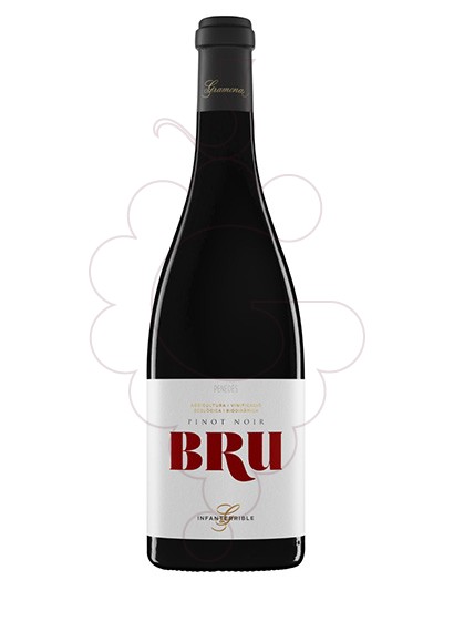 Photo Gramona Bru red wine