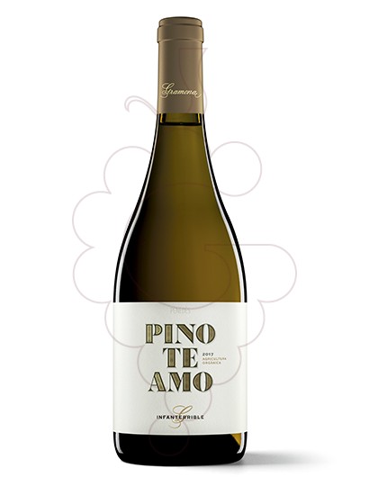 Photo Gramona Pinoteamo white wine