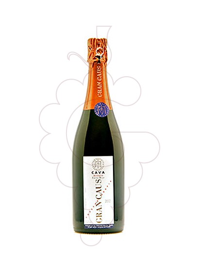 Photo Gran Caus Rosat Brut Nature sparkling wine