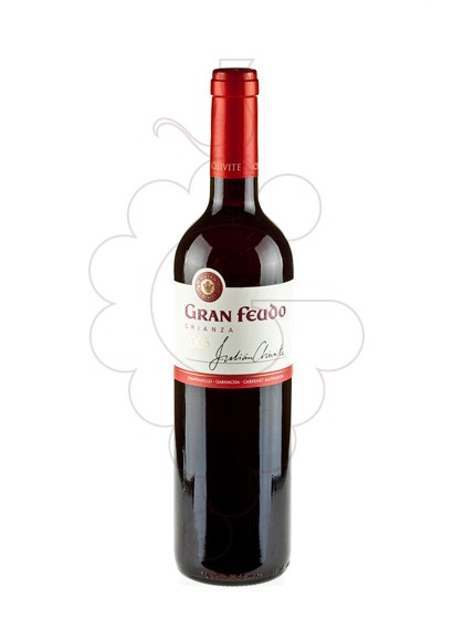 Photo Gran Feudo Crianza red wine