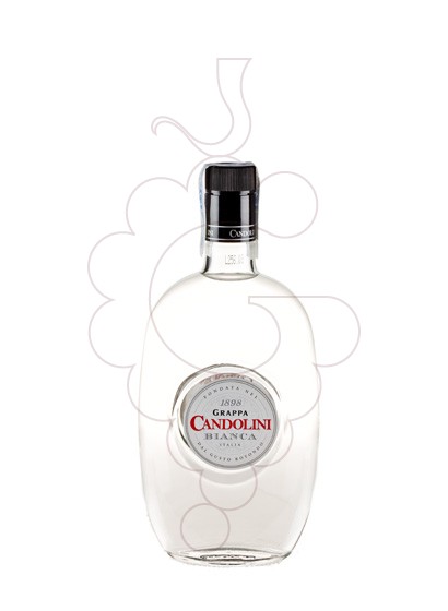 Photo Grappa Grappa Candolini Bianca
