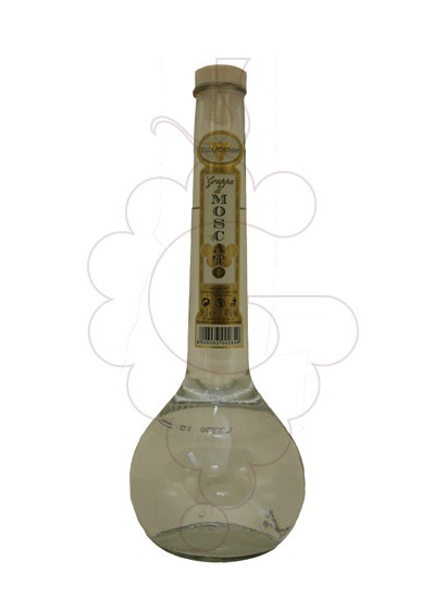 Photo Grappa Grappa Villa Adriana Moscato