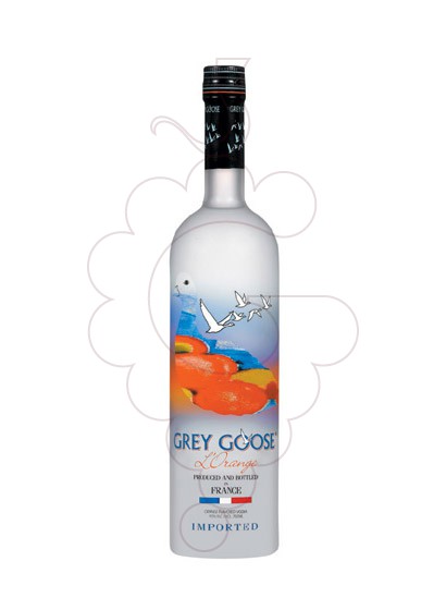 Photo Vodka Grey Goose Orange