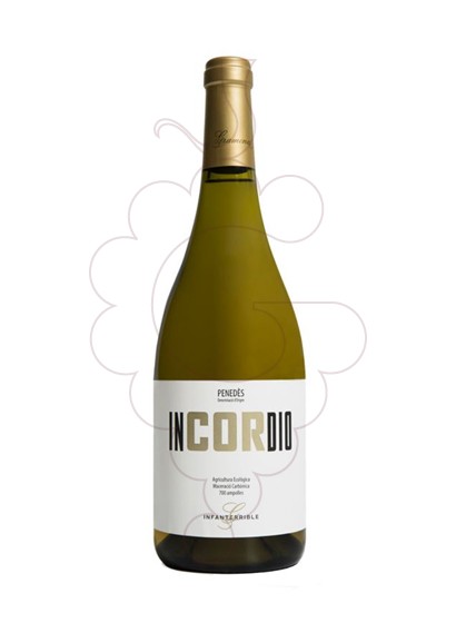 Photo Incordio white wine