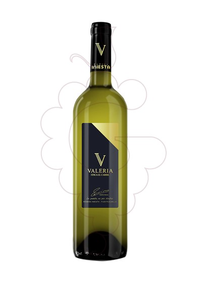 Photo Iniesta Finca el Carril Valeria white wine