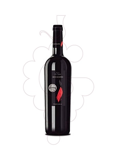 Photo Iniesta Finca el Carril Hechicero red wine
