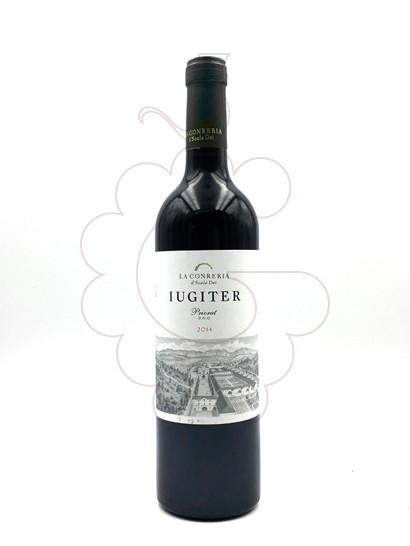 Photo Iugiter red wine