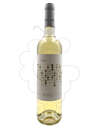 Photo Jaume Grau Grau Picapoll fermentació barrica white wine