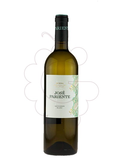 Photo José Pariente Sauvignon Blanc white wine