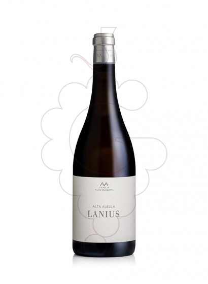 Photo Lanius white wine