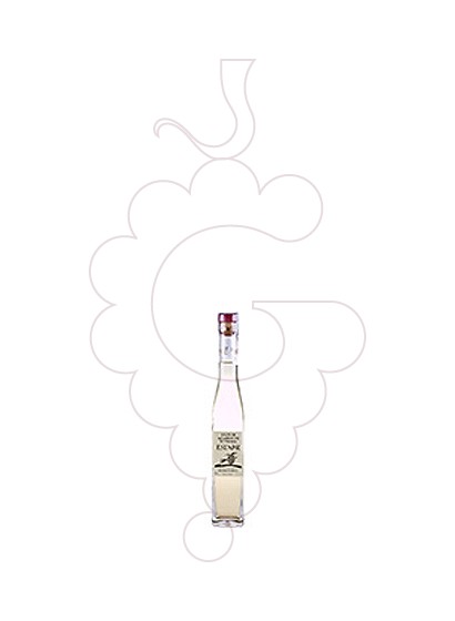Photo Liqueur Licor Aguardiente de Piñones