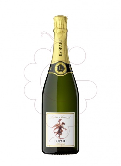 Photo Llopart Nectar Terrenal Semi-Sec sparkling wine