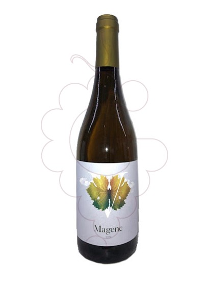Photo Magenc white wine