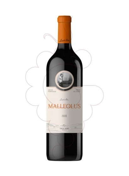 Photo Malleolus red wine