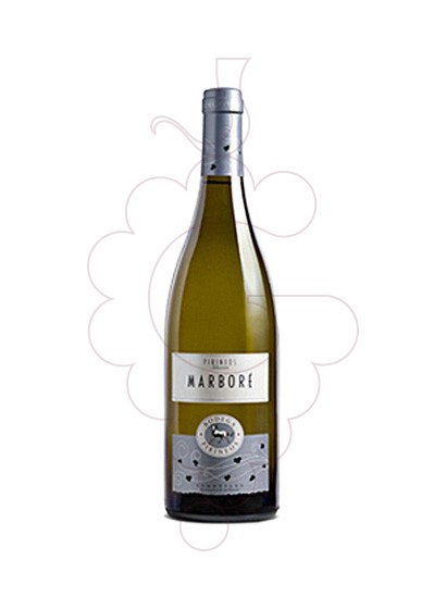 Photo Marbore Blanc white wine