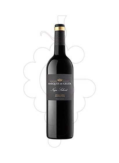 Photo Marques de Gelida Negre Selecció red wine
