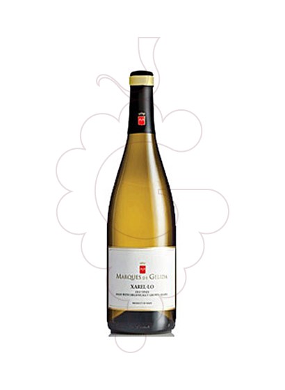 Photo Marques de Gelida Xarel·lo white wine