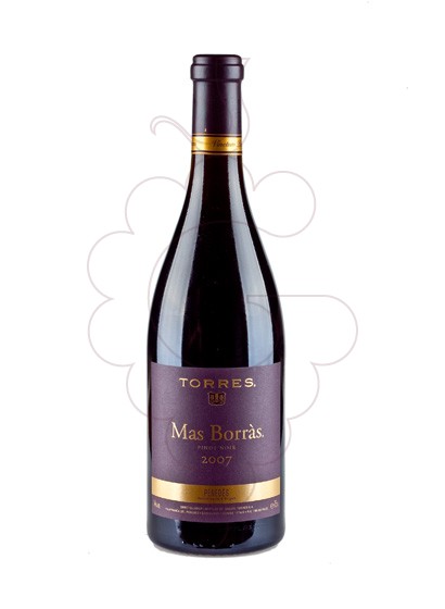 Photo Mas Borras red wine