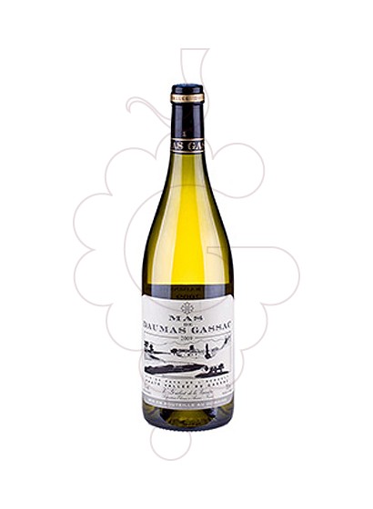 Photo White Mas Daumas Gassac white wine
