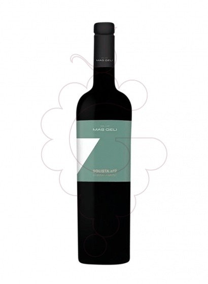 Photo Mas Geli Solista Nº7 Subirat Parent white wine