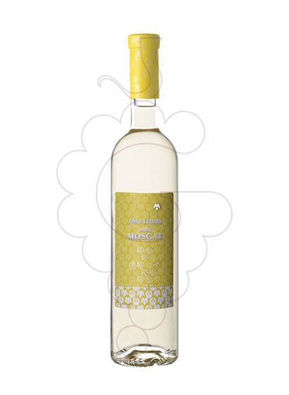 Photo Mas Llunes Moscat fortified wine