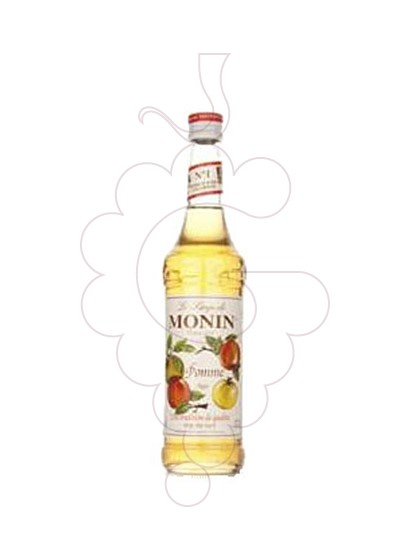 Photo Syrups Monin Pomme (s/alcohol)