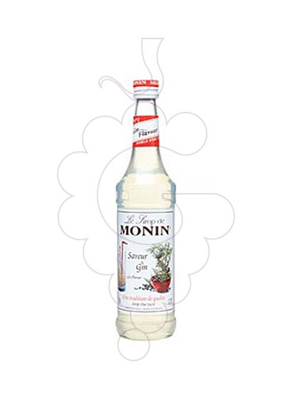 Photo Syrups Monin Saveur Gin (s/alcohol)