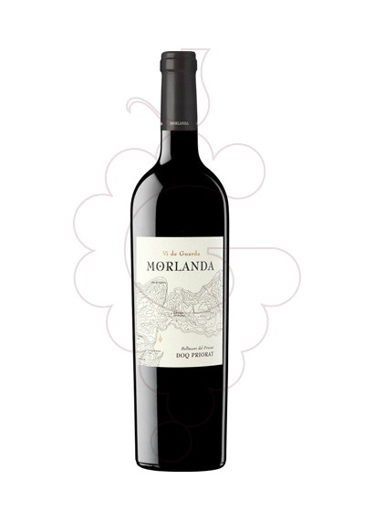 Photo Red Morlanda red wine