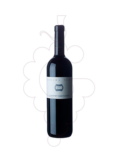 Photo Movia Cabernet Turno red wine