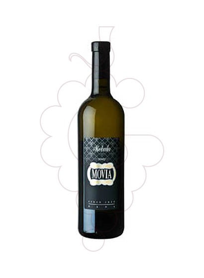 Photo Movia Rebula Blanc white wine