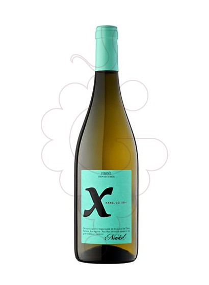 Photo Nadal Xarel·lo Blanc white wine