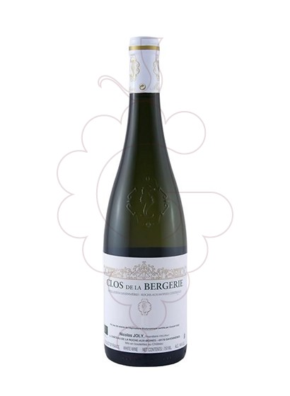 Photo Nicolas Joly Clos de la Bergerie white wine