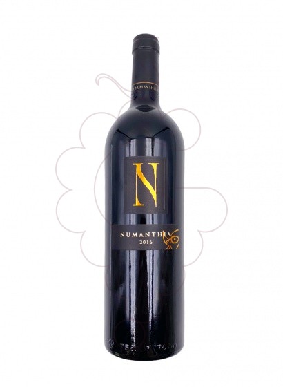 Photo Numanthia red wine