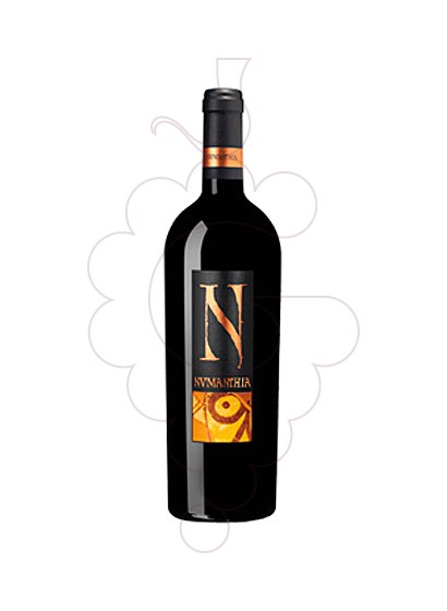 Photo Numanthia red wine