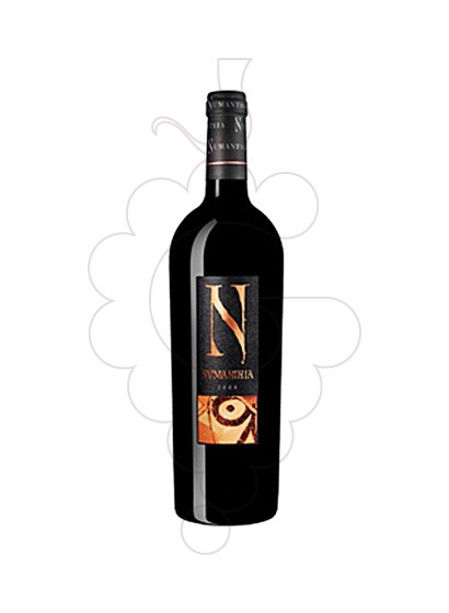 Photo Numanthia red wine