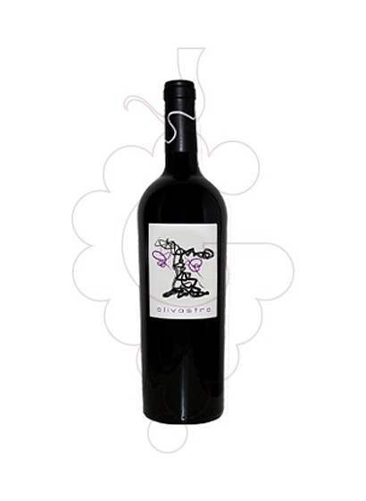 Photo Olivastro red wine