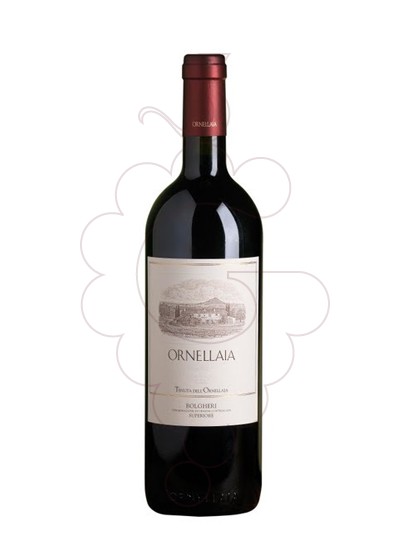 Photo Ornellaia Magnum red wine