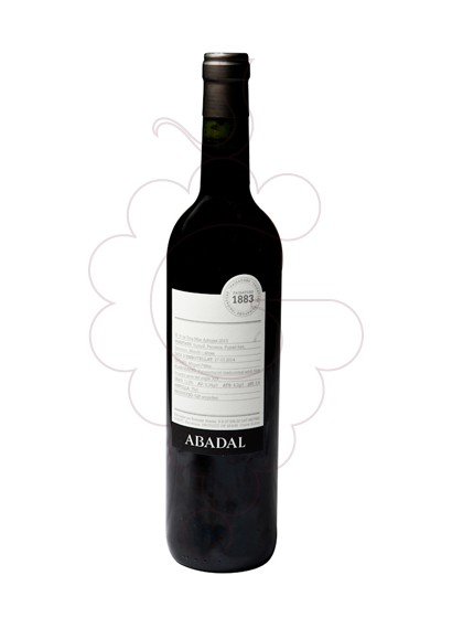 Photo Paisatges 1883 Abadal Mandó red wine