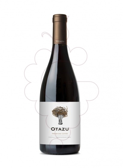 Photo Otazu Crianza red wine