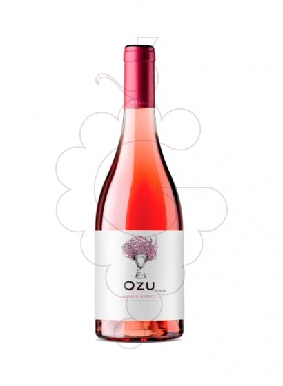 Photo Palacio de Otazu Rosat rosé wine