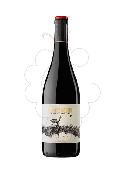 Photo Payoya red wine