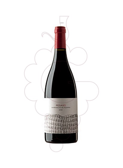 Photo Pegaso Barrancos de Pizarra red wine