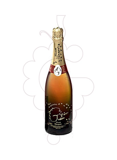 Photo Perelada Torre Galatea Rosat sparkling wine