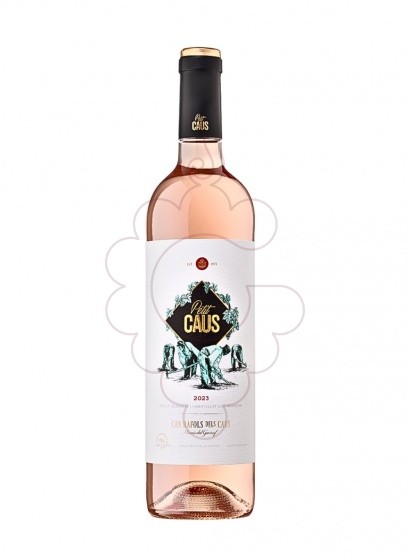 Photo Petit Caus Rosat rosé wine